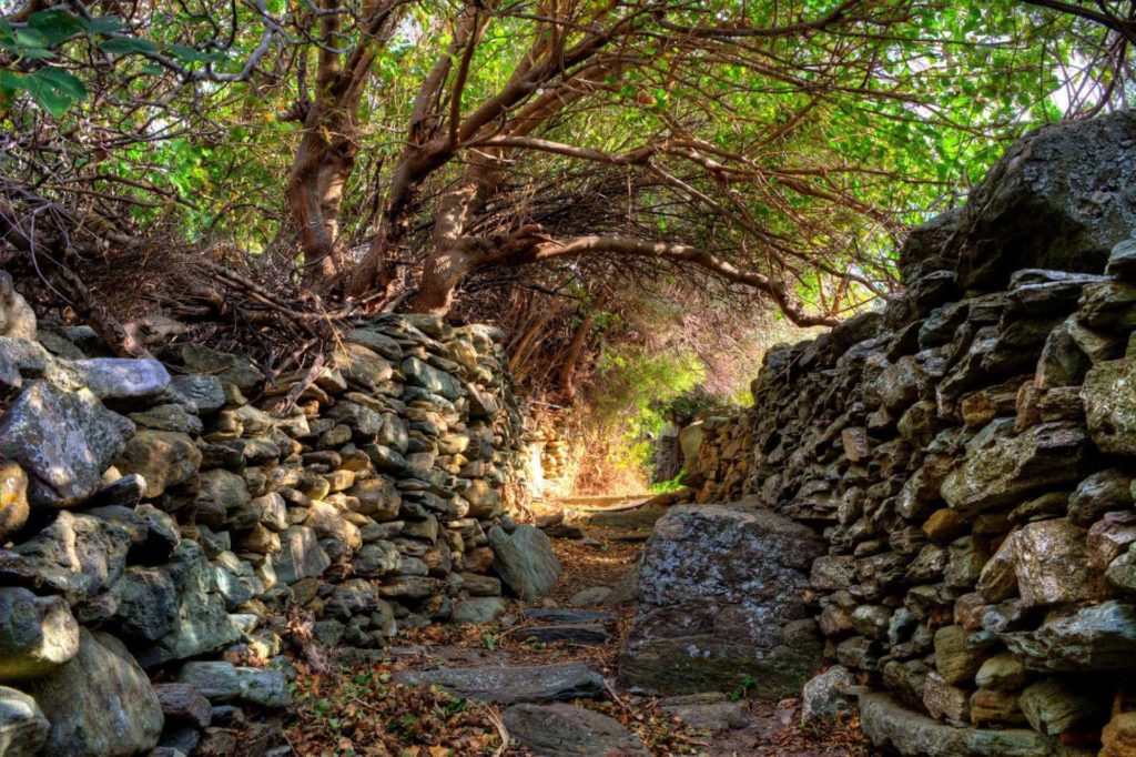 On the way to Paleopolis - Andros Island