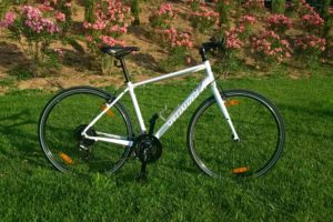 Bike Rentals in Athens - Women Fit Aluminium Fitness Bike Bicycle - Specialized Vita 2017