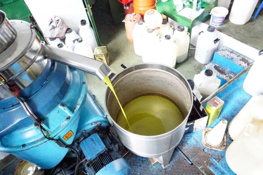Olive oil production during our cycling day in Leonidio, Peloponnese