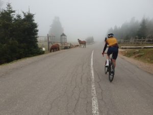 Cycling Trip Delphi Misty Mountains